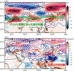 極端気象アトリビューションセンター(WAC) 「2025年7月下旬の記録的高温は地球温暖化の影響がなければ 発生しなかったレベル」 分析結果を発表
