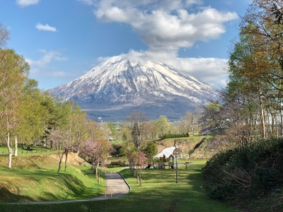 XYVEpanaaFloNF8PurTf.jpg?w=940&h=940