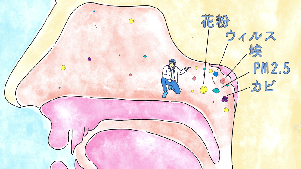 ニールメッド「サイナスリンス」Youtube動画広告スタート!