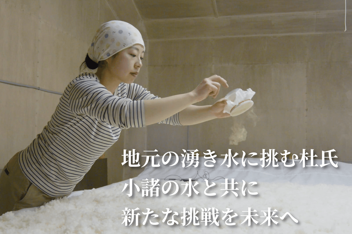 地元の湧き水に挑む杜氏