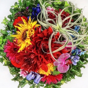 Xaj6REgKLRsSffWaOlh1.jpg?w=940&h=940