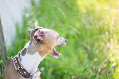 XbFAnameorDtYleLy9Nq.jpeg?w=940&h=940