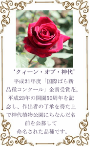 XbS3lxRpvr5bCraZ9u9N.png?w=940&h=940