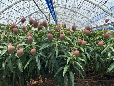 XdN5hSeHwMUO56t6vDsX.jpeg?w=940&h=940