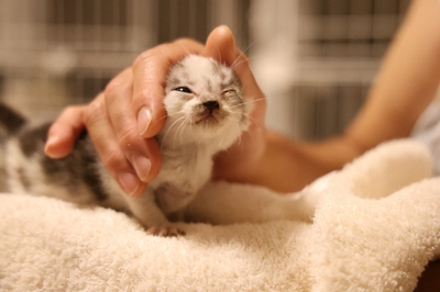 Xe0YyA08wuXG5R7HEETU.jpeg?w=940&h=940