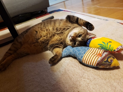 XfE7vDKRbtmSSvmp2y0D.jpg?w=940&h=940