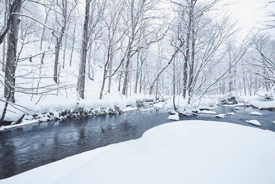 XhD5u5OzcredlmCuZV2r.jpg?w=940&h=940