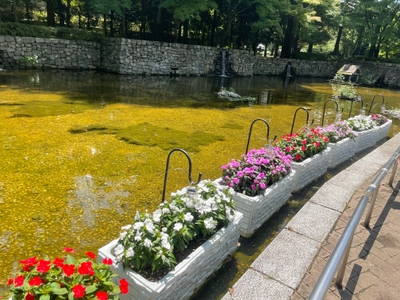 XhVUHUnWZXfdW3dqaIkO.jpg?w=940&h=940