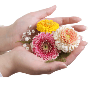 Xjq5x4ZnJy675Fop0hpq.png?w=940&h=940