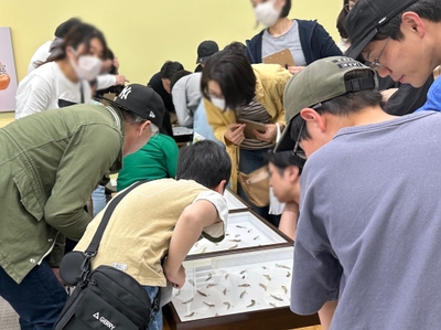 XkhFlJwpE0dnfBc9Fzsl.jpeg?w=940&h=940