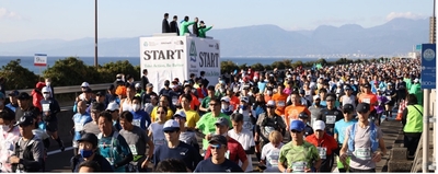 XkqFKuXlgNnnQYd2safY.jpg?w=940&h=940