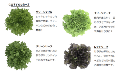 Xm4xPKLJjSqcFl4uk9hC.png?w=940&h=940