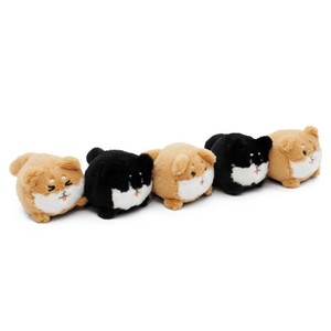 しっぽぷるぷる