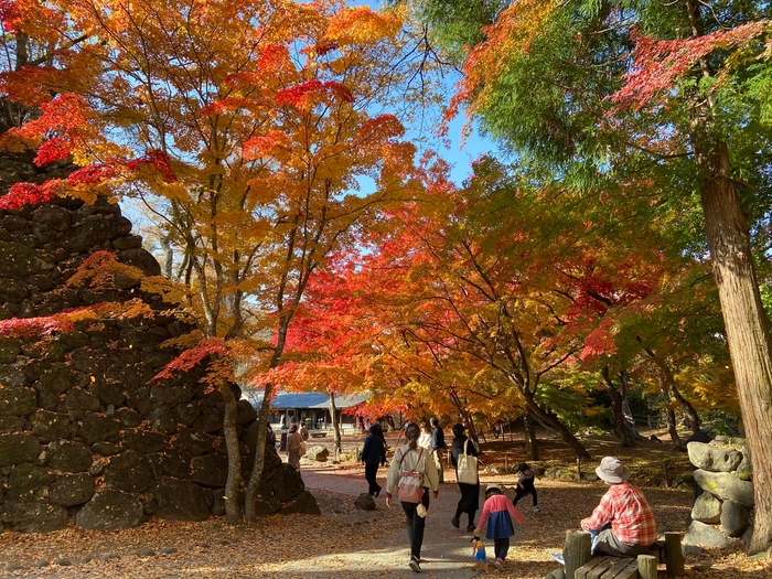 小諸城址懐古園 紅葉ヶ丘