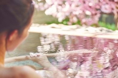 Xmhkydw3H9pmv0BsWzIL.jpg?w=940&h=940