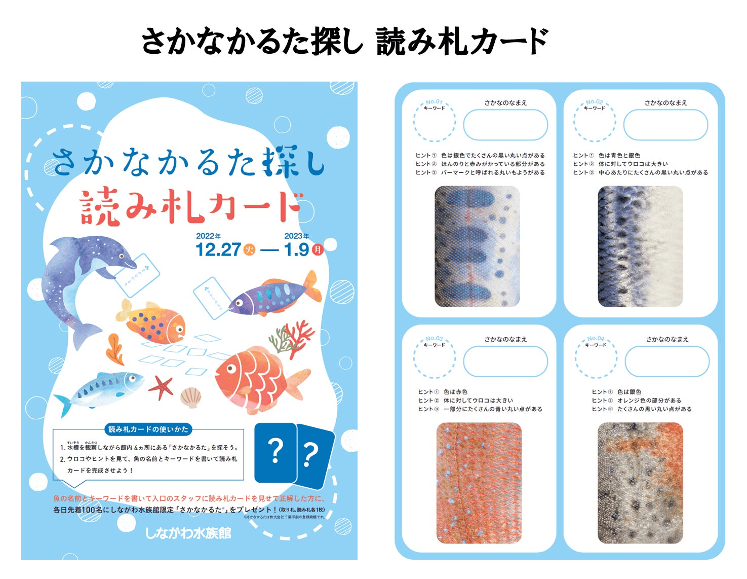 さかなかるた探し 読み札カード