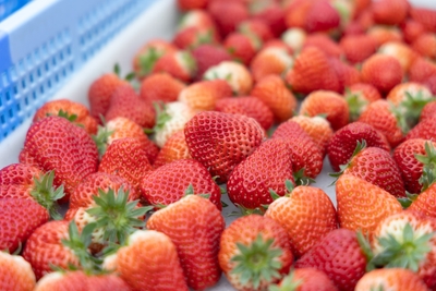 Xnb5E2CsGbbdjAPxa821.jpg?w=940&h=940