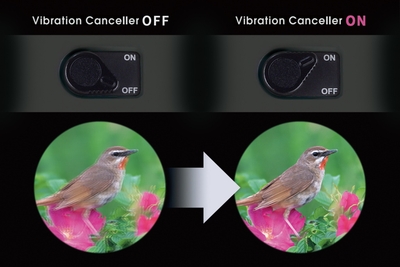 XoLzG9hTzHTcDdf7YvOQ.jpg?w=940&h=940