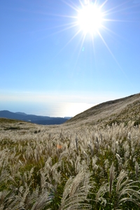 XqUTTS5hH1K7scde2bok.JPG?w=940&h=940