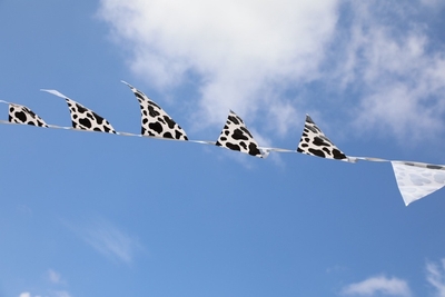 XqW7aDTbzduCrg46x0Wb.jpeg?w=940&h=940