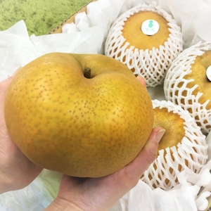 XrKcrs6R7jtVKYcNXoTv.jpg?w=940&h=940