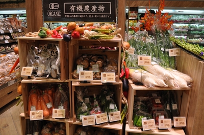 XriEdoPVkcjFhNyzo7rg.jpg?w=940&h=940