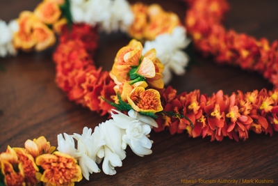 XsC3ZR49IMgzsRTzzSr8.jpg?w=940&h=940