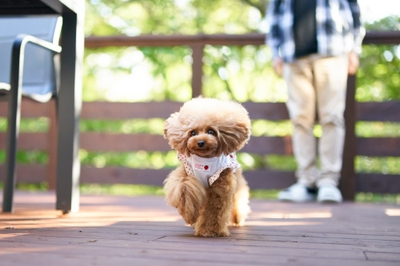 XsDQCMplzEmAUXB301MS.jpg?w=940&h=940