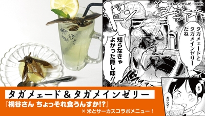 XtL2noowbQCw0jEFUb0x.jpg?w=940&h=940