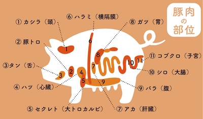 XtPp9UrqHclLjjCkUV8u.jpg?w=940&h=940