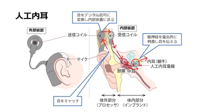 XtrkMBWrpEzsJjinPeCN.JPG?w=940&h=940