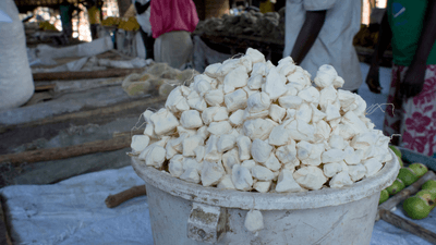 XukWzV9Ei6qAQgYKPs01.png?w=940&h=940