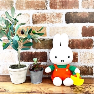 XuqPTr2BtnHJk4cyc82W.jpg?w=940&h=940