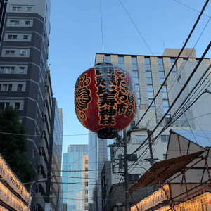 XvZ6kONxRporXGFYZlZS.png?w=940&h=940