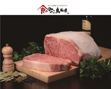 XvpXpPmQJuPLIgge0HES.jpg?w=940&h=940