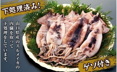 Xvy9YN1Mrh6N6HqLL47o.jpeg?w=940&h=940