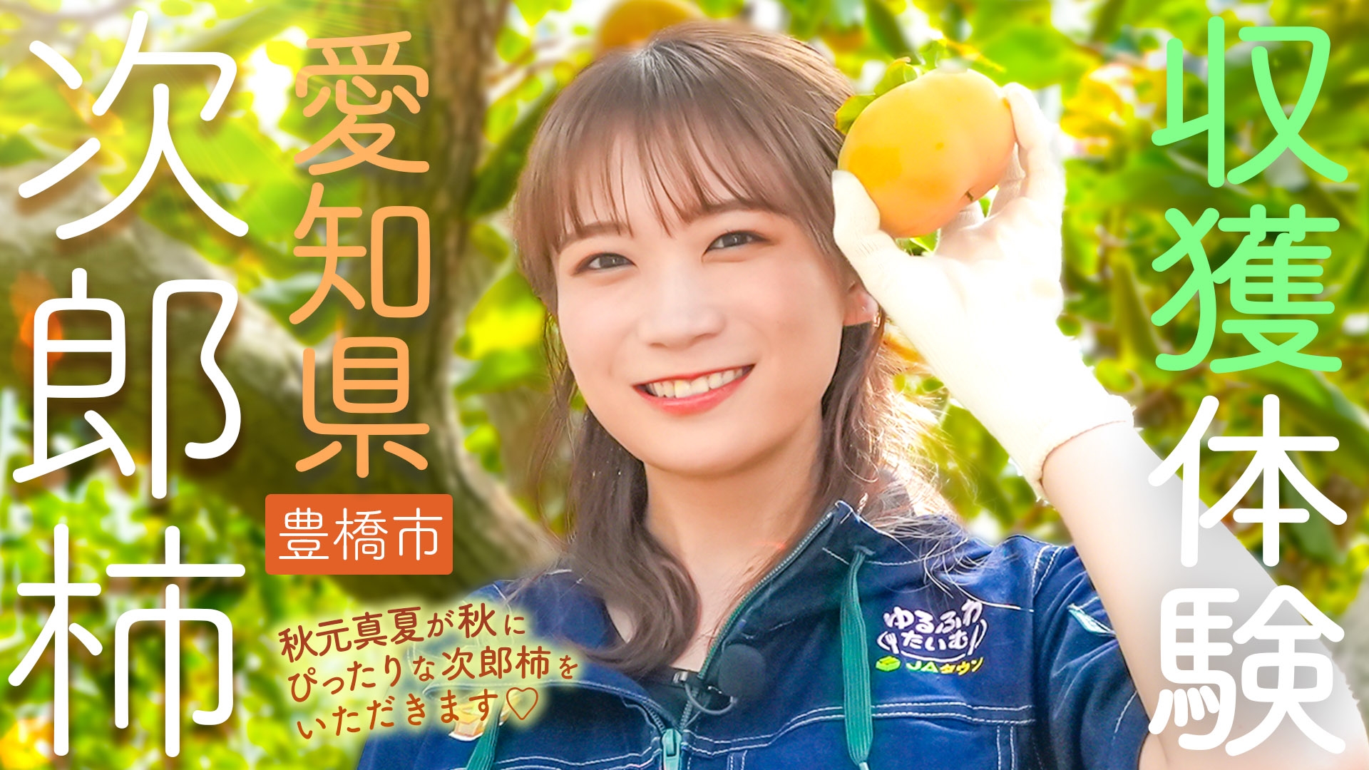 秋元真夏が愛知県で「次郎柿」の収穫体験! 産地ならではの柿料理も登場!秋の味覚をたっぷりお届け