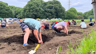 XwSgvk3a6D8OcVut3j2E.JPEG?w=940&h=940