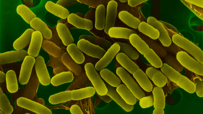 Xy5uZms7fy2gnxnza7Ju.png?w=940&h=940