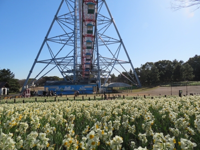 XyLqJvF027WeIonF8Vsg.jpg?w=940&h=940