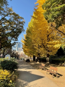 XyVjEPYReqxiDiRaISqI.jpg?w=940&h=940