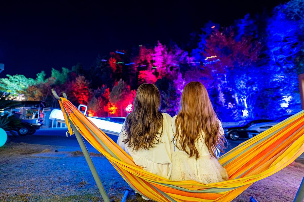 ライトアップショー(10のサービス)