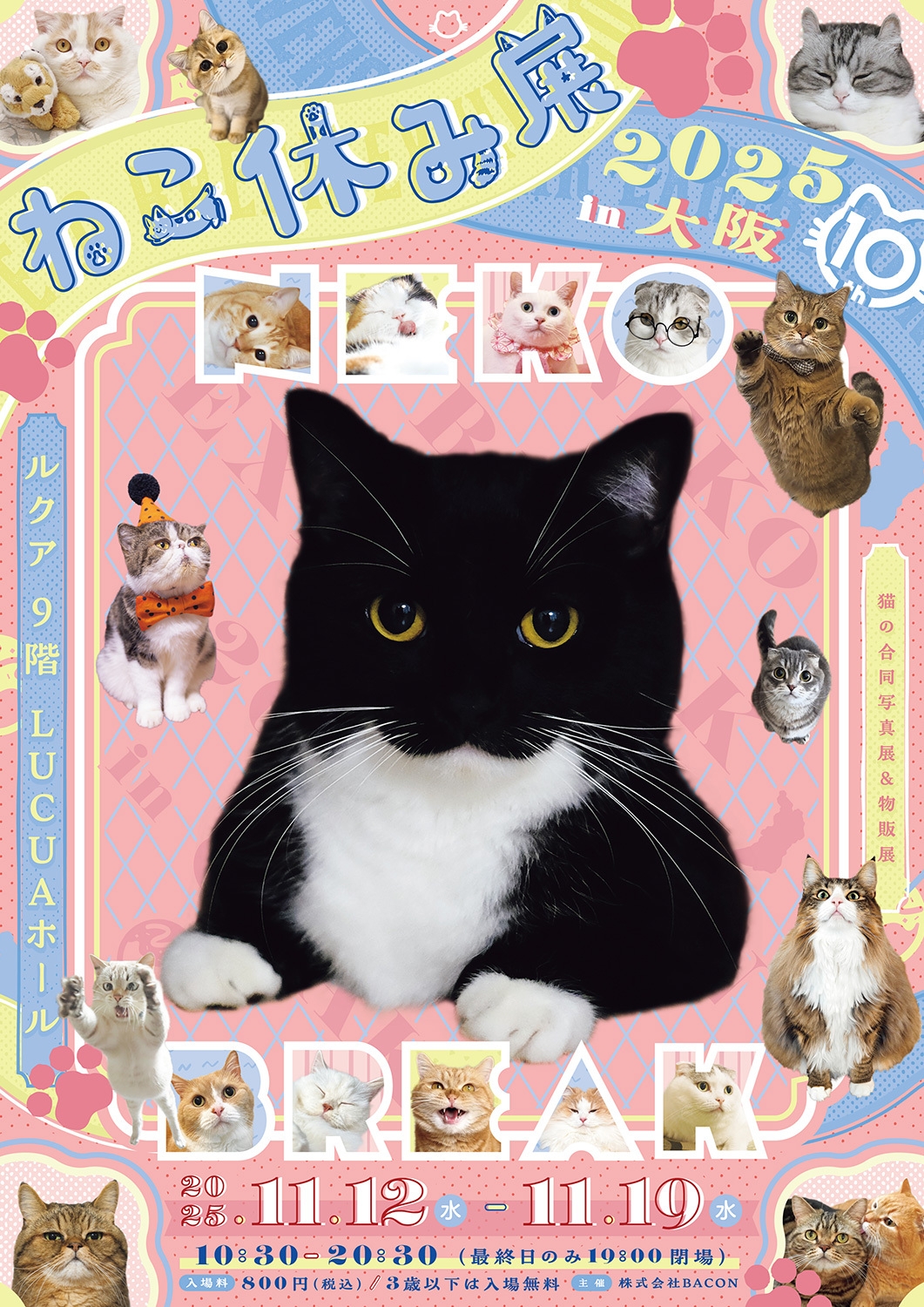 ねこ休み展 キービジュアル(縦)