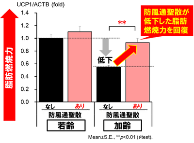 図3：脂肪燃焼力の回復
