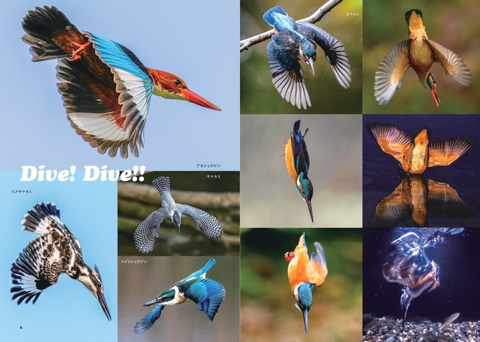Dive! Dive!!
