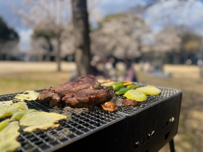 Y4M68ZE0lRxdD1F2szo4.JPG?w=940&h=940