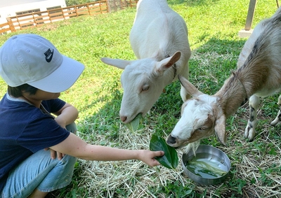 【ココトモワークスジュニア】