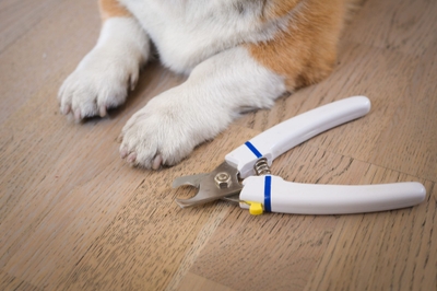 Y7UXlSFT9DLRkmjD98Zi.jpeg?w=940&h=940