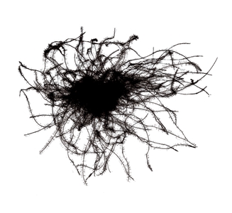 Y7me6TmhoK4qKEYzTyM0.jpg?w=940&h=940