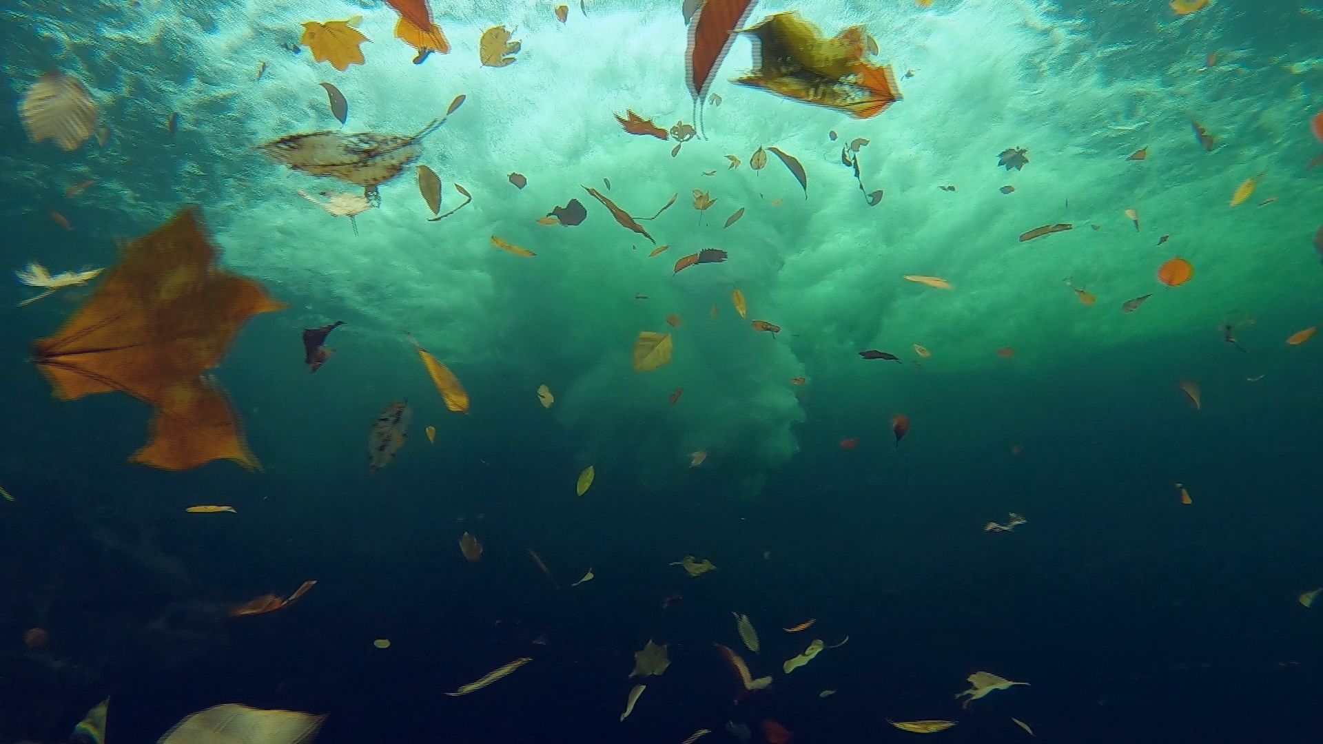滝を水中から見ると・・・